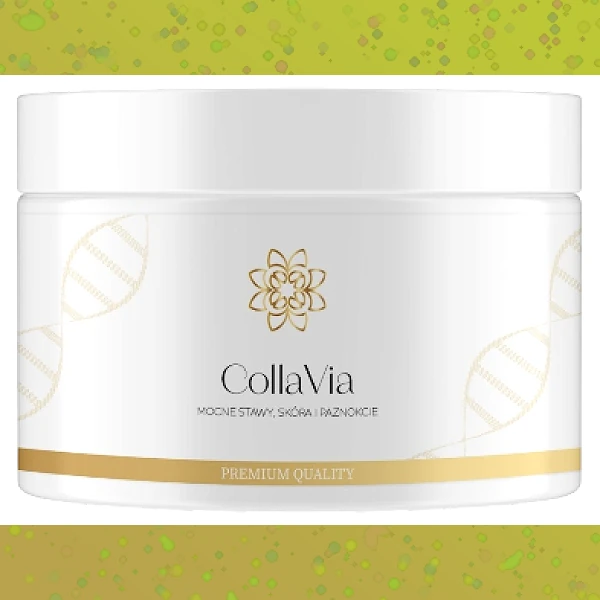 Collavia