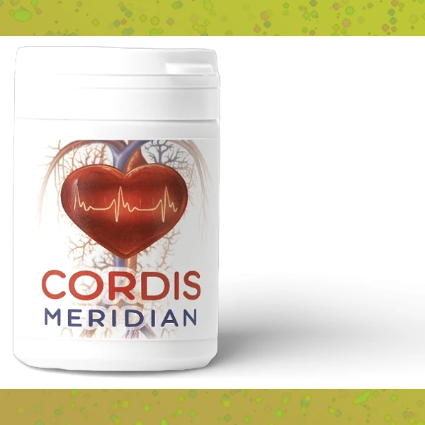 Cordis Meridian