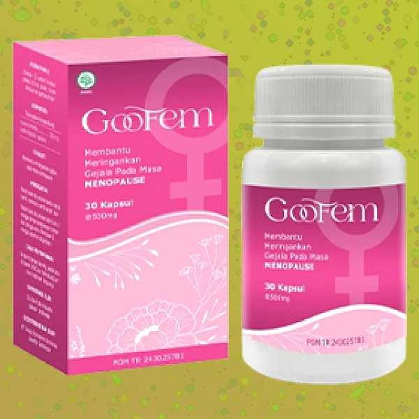GOOFEM