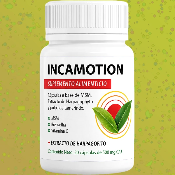 IncaMotion